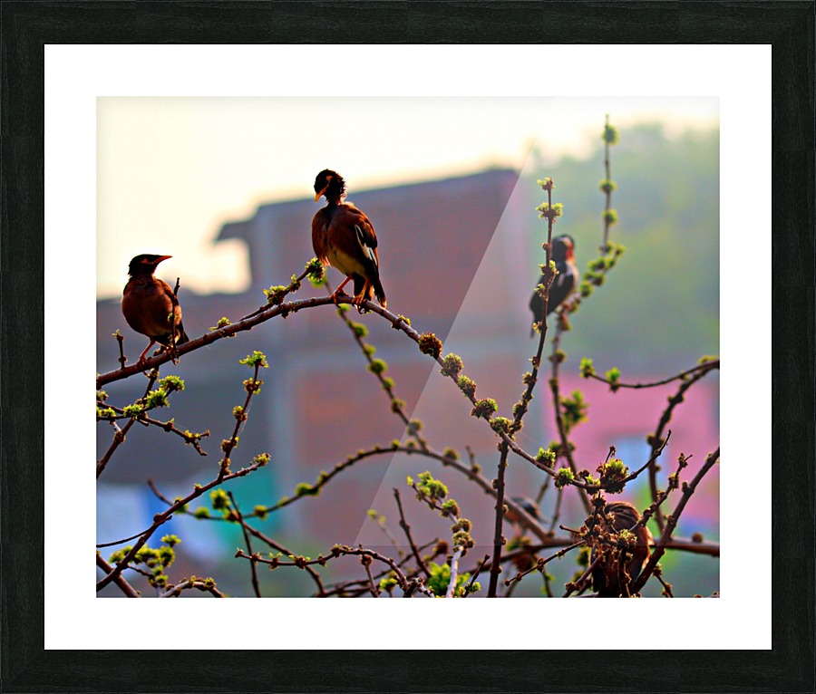 Different moods Picture Frame print