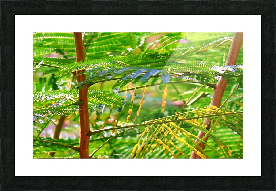Greenery Picture Frame print