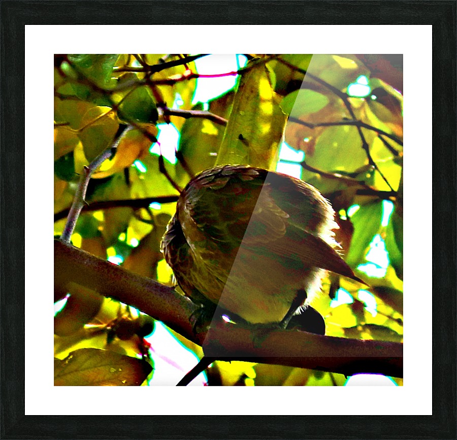 Bird 2 Picture Frame print