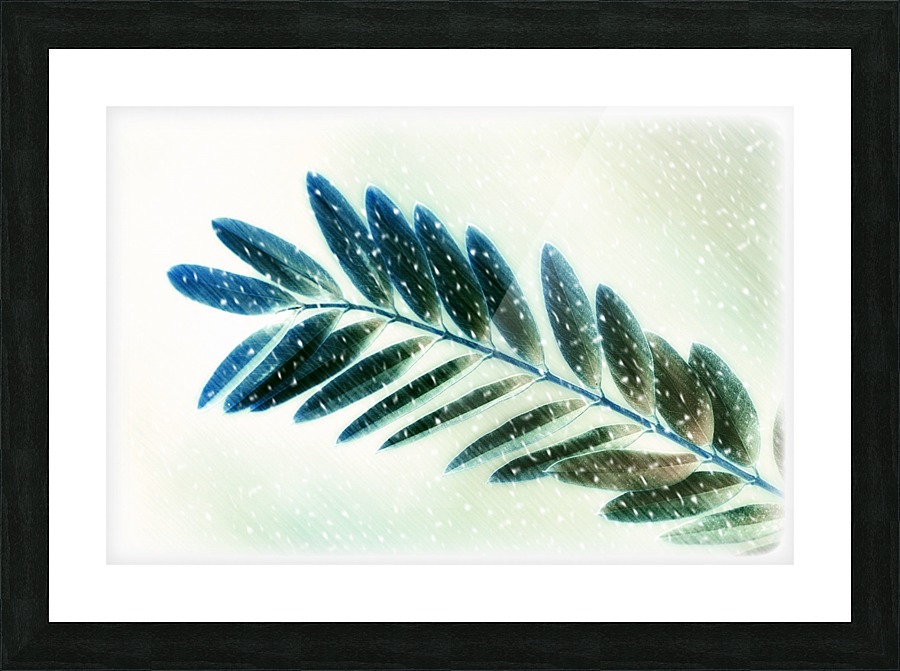 Leaf Picture Frame print