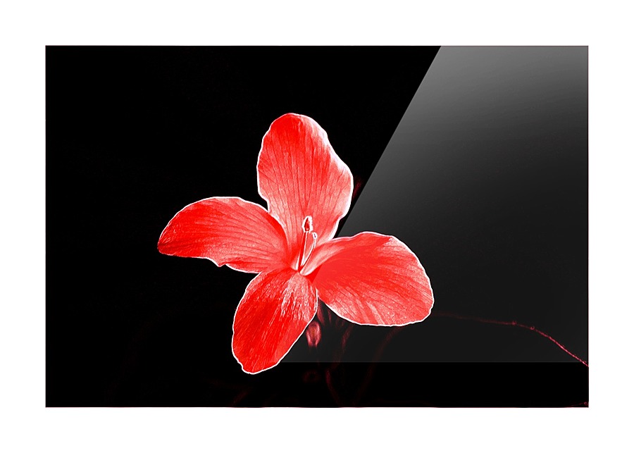 Red flora Picture Frame print