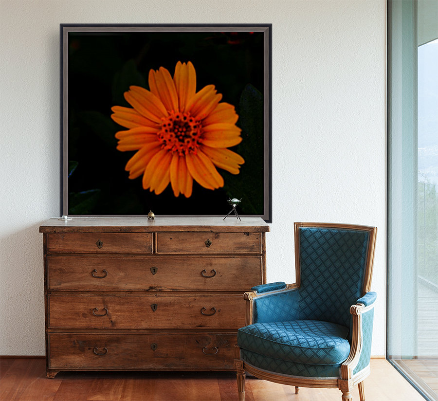 Soft flower Reproduction