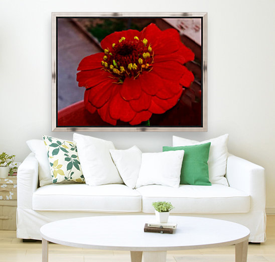 Red Daisy Reproduction