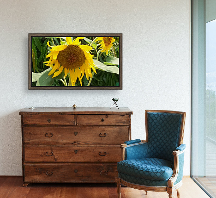 Sunflower2 Reproduction