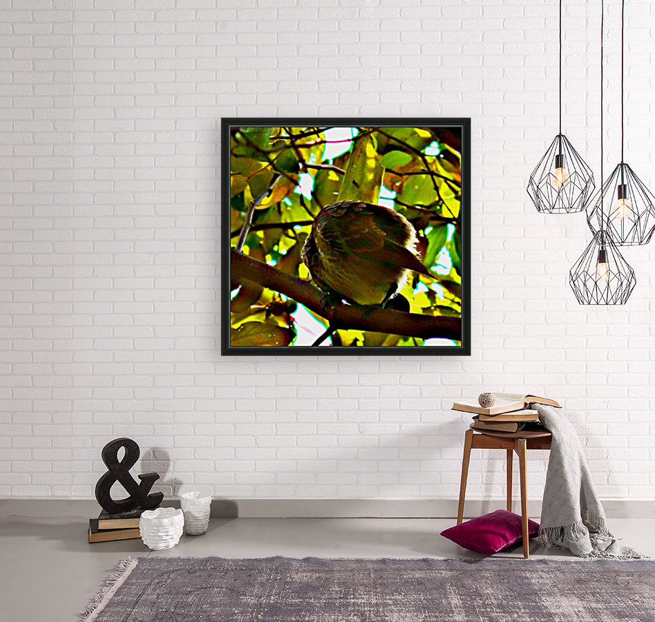 Bird 2 Reproduction