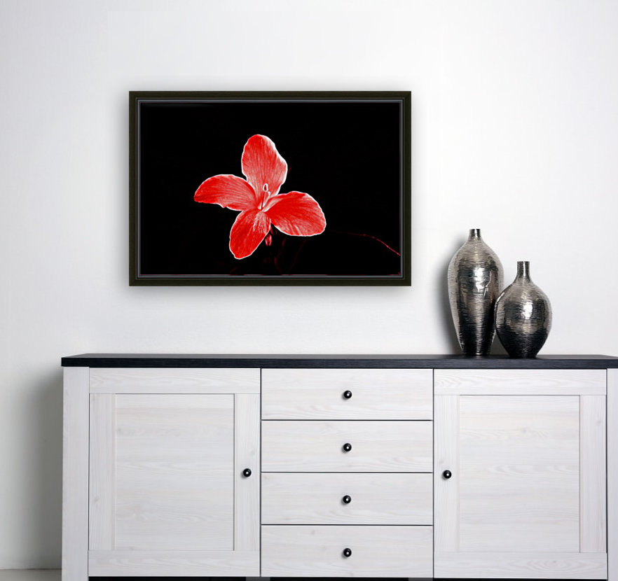 Red flora Reproduction
