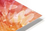 Butterfly flower HD Metal print