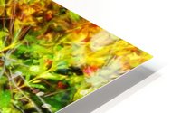 Forest sparkle HD Metal print