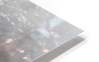 Freezing  HD Metal print