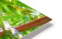 Greenery HD Metal print