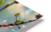 Beauty from back HD Metal print