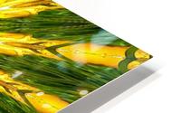 Fractals HD Metal print