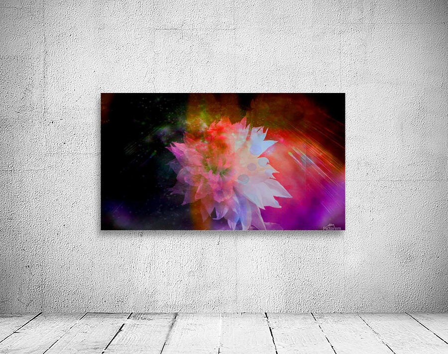 Beauty Wall Preview
