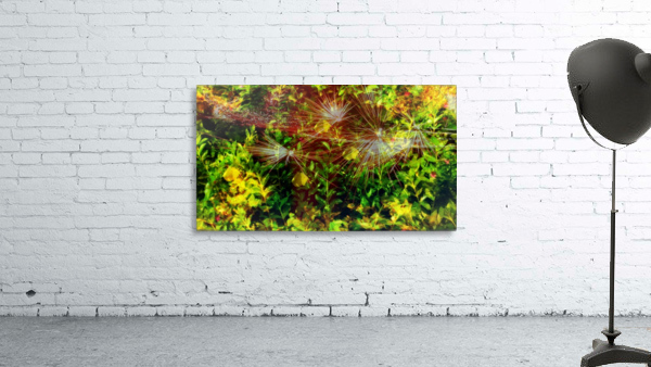 Forest sparkle Wall Preview