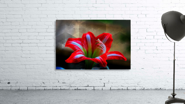Red lily Wall Preview