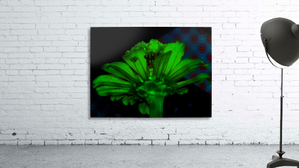 Green daisy Wall Preview