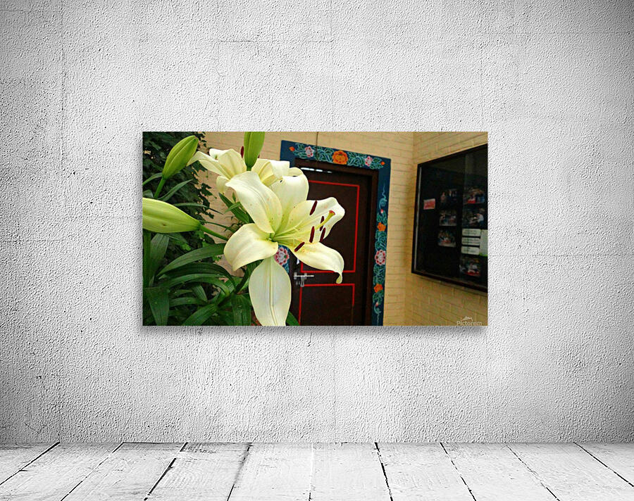 Lily Wall Preview