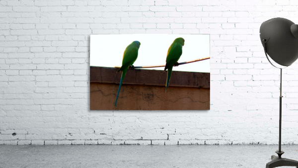 Two friends Wall Preview