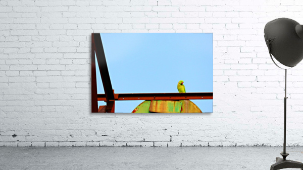 Balancing Wall Preview