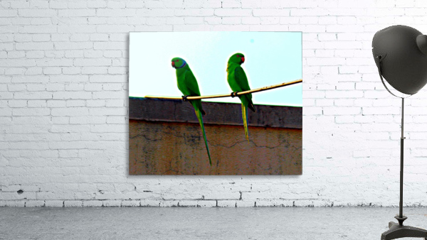 Swinging Wall Preview