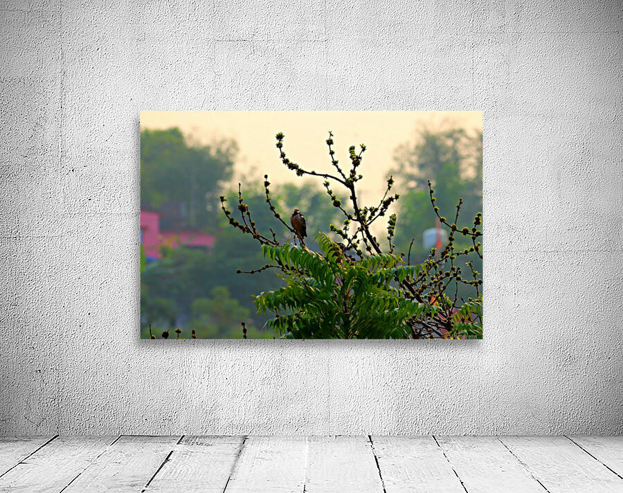 Bird in thought Wall Preview