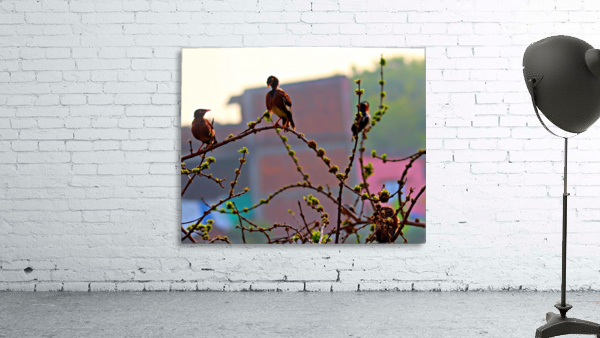 Different moods Wall Preview