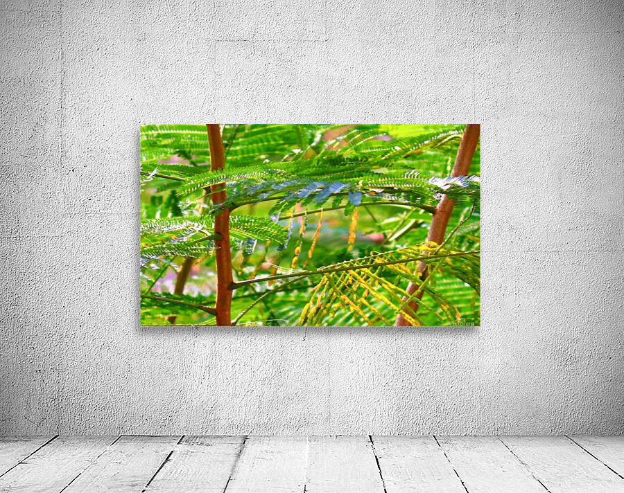 Greenery Wall Preview