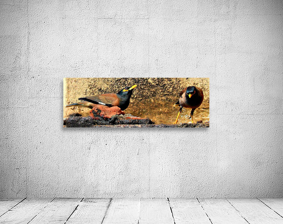 Mynas Wall Preview