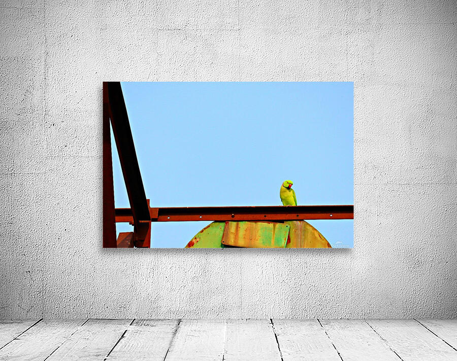 Bird 3 Wall Preview