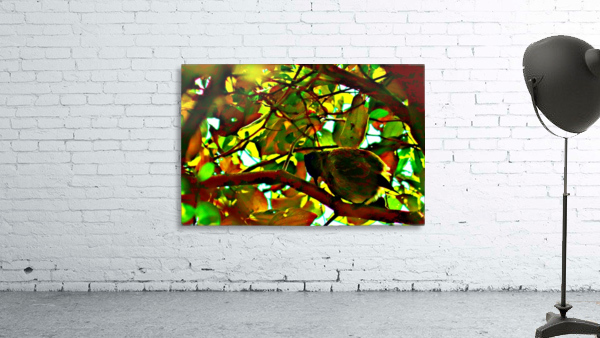 Multicolored Wall Preview