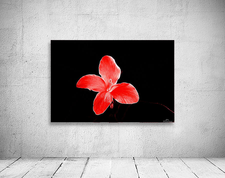 Red flora Wall Preview