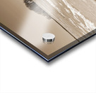 Frozen River Acrylic print