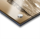 Frozen River Acrylic print