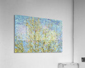 Tree Acrylic Print