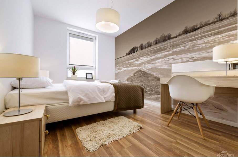 Frozen River Mural print