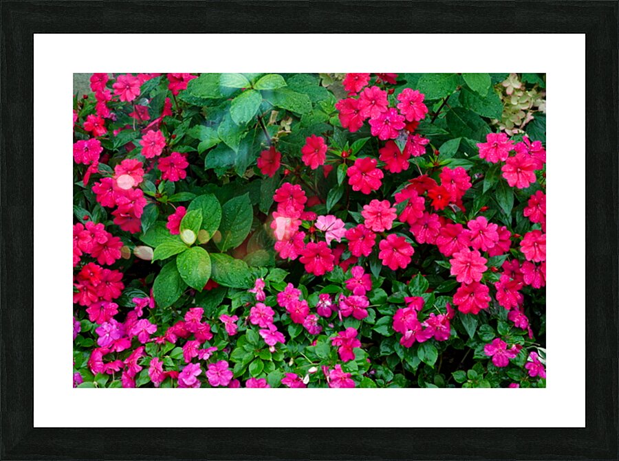Flowers Picture Frame Printing