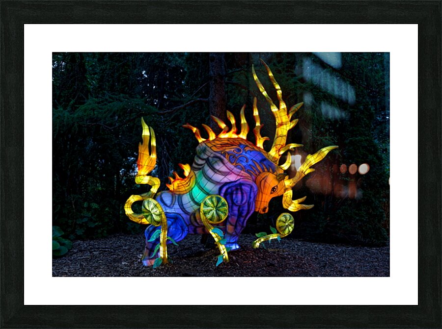 Dragon Picture Frame Printing