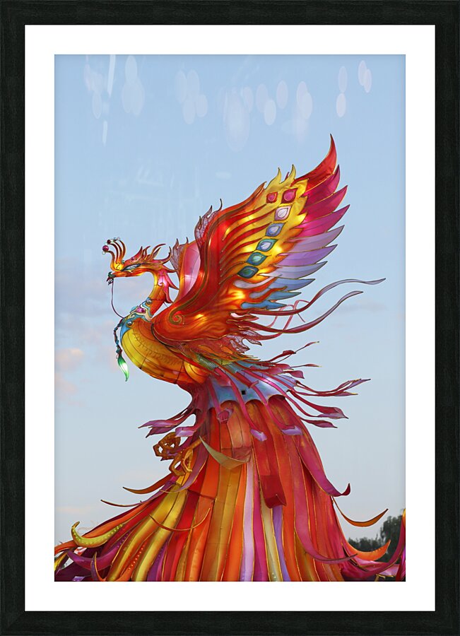 Dragon Picture Frame Printing