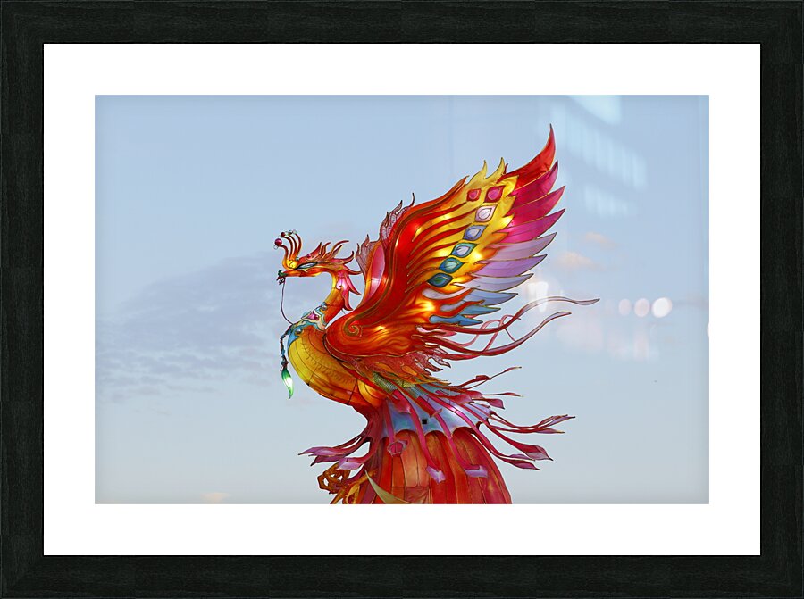 Dragon Picture Frame Printing