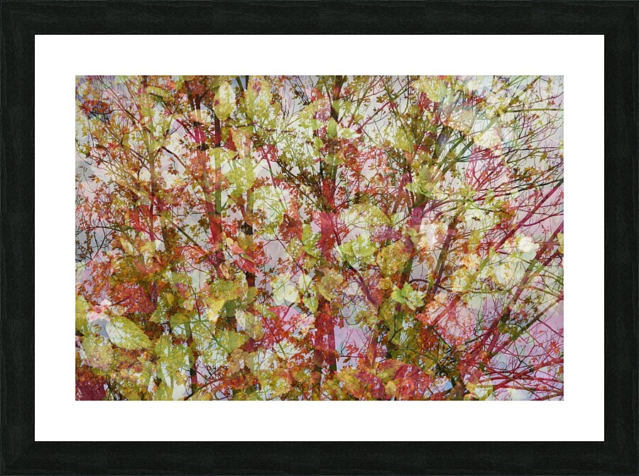 Tree Picture Frame Printing