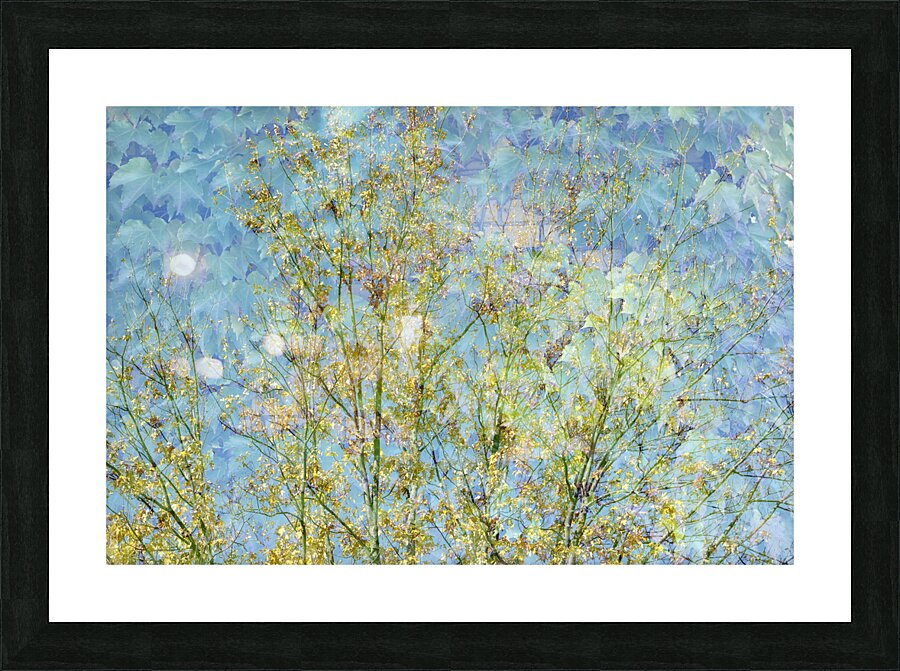 Tree Picture Frame Printing