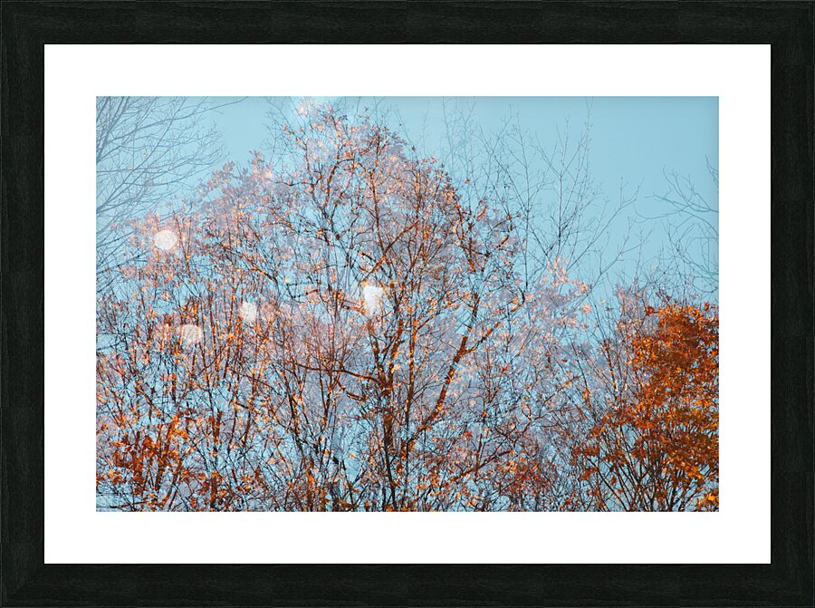 Tree Picture Frame Printing