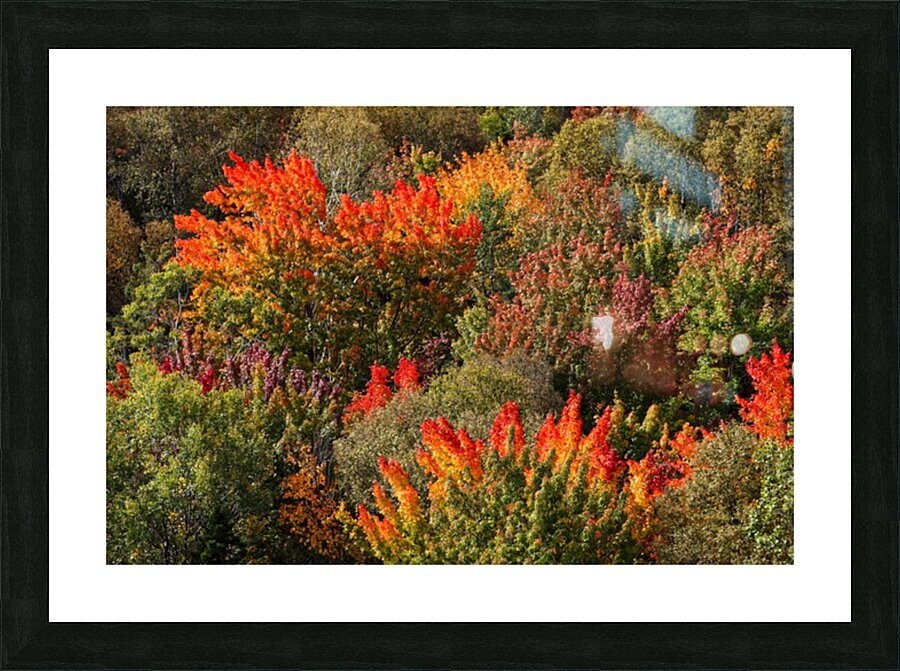 Autumn Picture Frame Printing