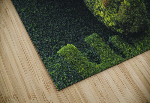 Botanic Guenther Schwermer puzzle