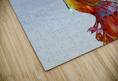 Dragon Guenther Schwermer puzzle
