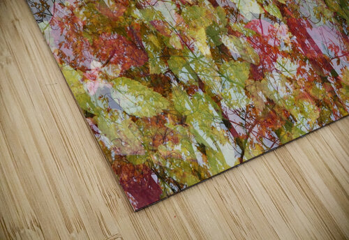 Tree Guenther Schwermer puzzle