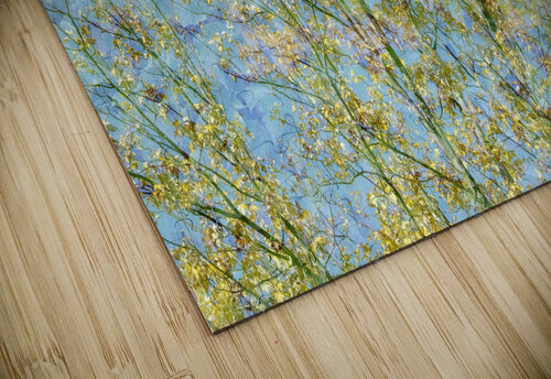 Tree Guenther Schwermer puzzle