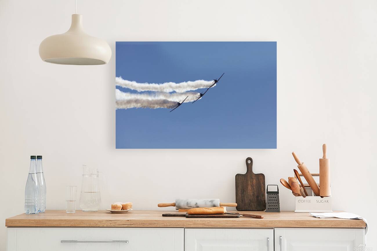 Aviation Reproduction