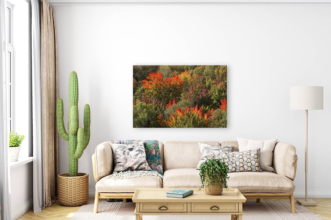 Autumn Reproduction