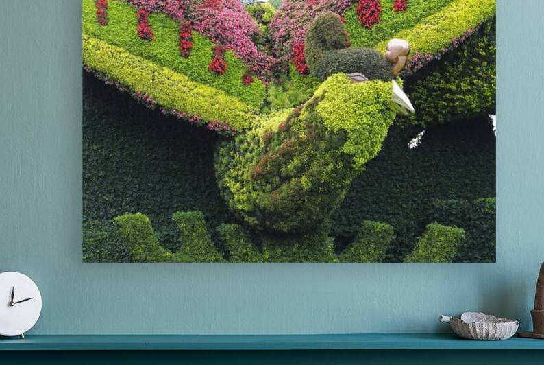 Botanic by Guenther Schwermer